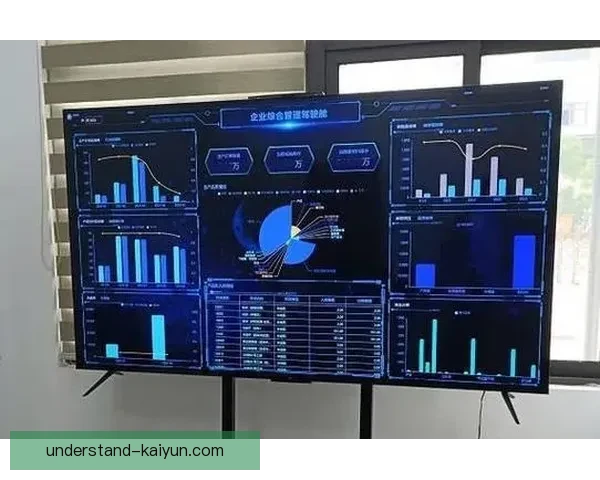 开云入口助力数字化转型提升企业运营效率和创新能力